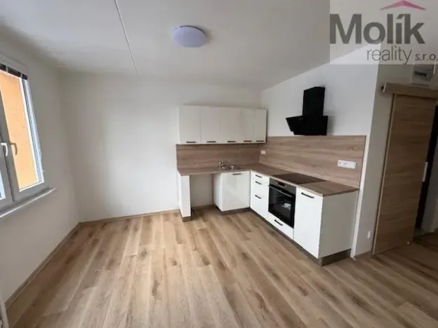 Pronájem bytu 1+1, Duchcov, Osecká, 39 m2