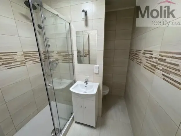 Pronájem bytu 1+1, Duchcov, Osecká, 39 m2