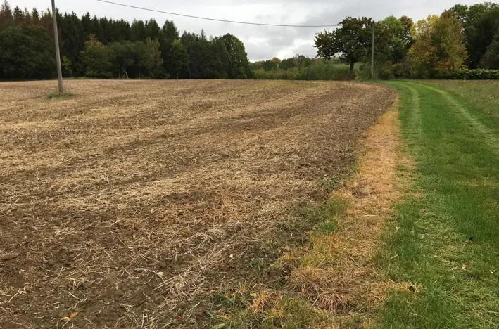 Prodej sadu/vinice, Troskovice, 8502 m2