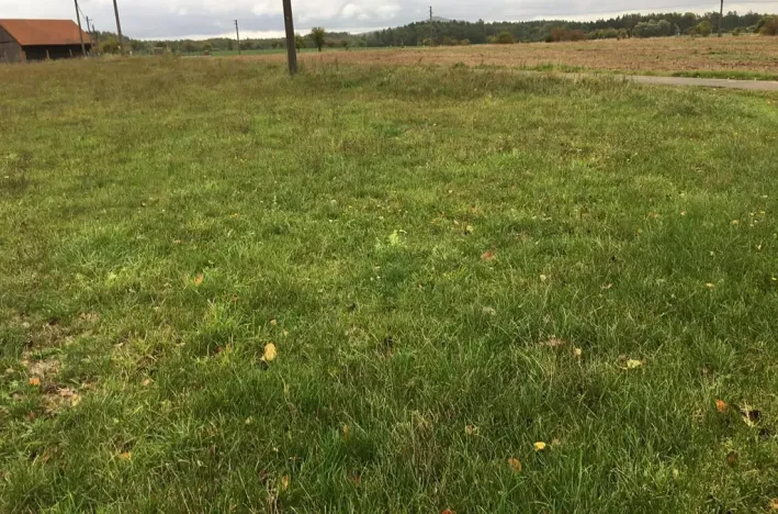 Prodej sadu/vinice, Troskovice, 8502 m2