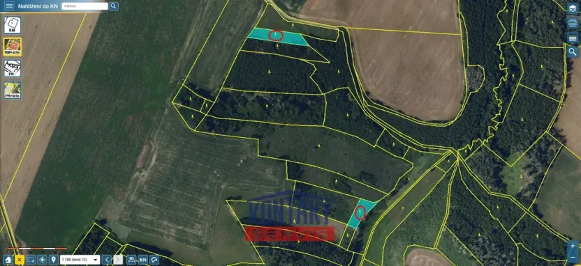 Prodej lesa, Okrouhlice - Vadín, 13839 m2