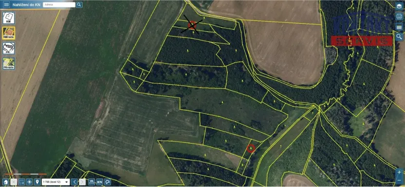 Prodej lesa, Okrouhlice - Vadín, 12243 m2