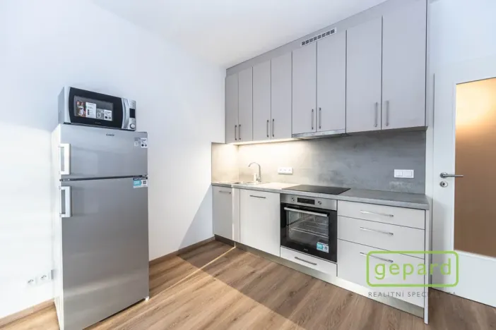 Pronájem bytu 1+kk, Praha, Danielova, 34 m2