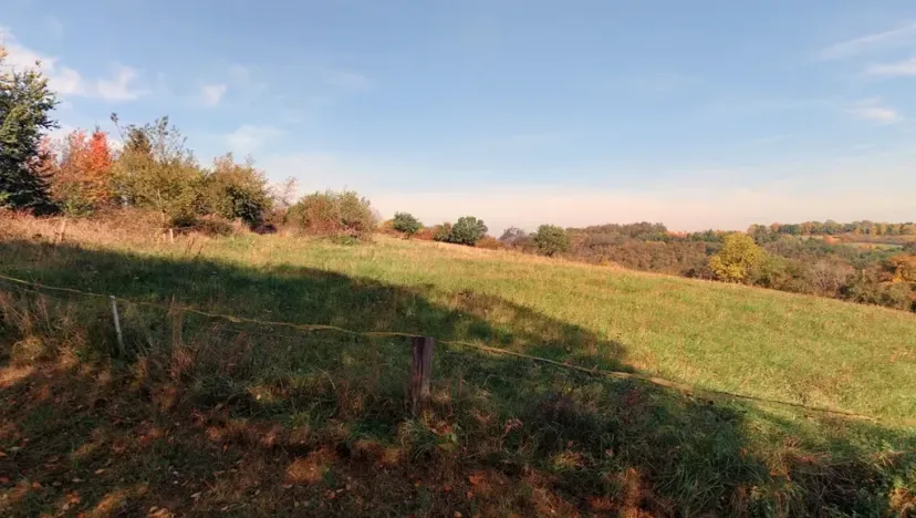 Prodej louky, Kouřim, 87548 m2