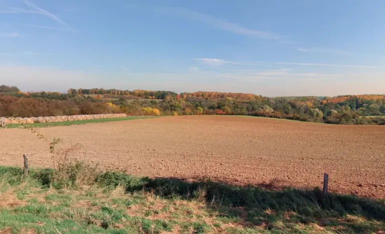 Prodej louky, Kouřim, 87548 m2