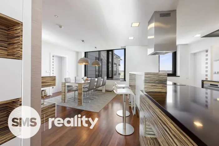 Pronájem atypického bytu, Brno - Štýřice, Pražákova, 332 m2