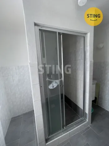 Prodej rodinného domu, Rozsochy, 205 m2