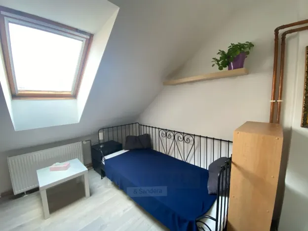Pronájem bytu 1+kk, České Budějovice - České Budějovice 6, Mánesova, 22 m2
