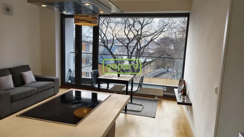 Pronájem bytu 2+kk, Brno - Zábrdovice, Slepá, 45 m2