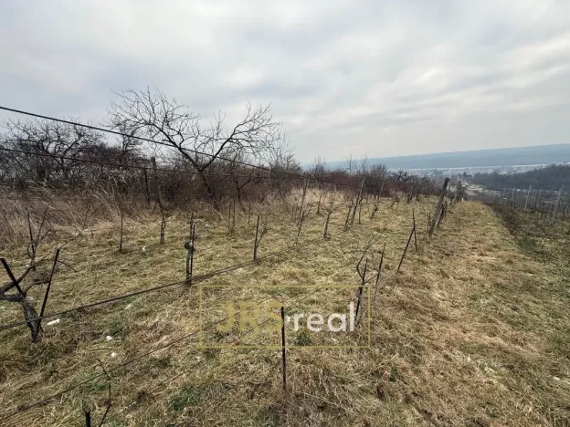 Prodej pozemku, Bzenec, 1231 m2