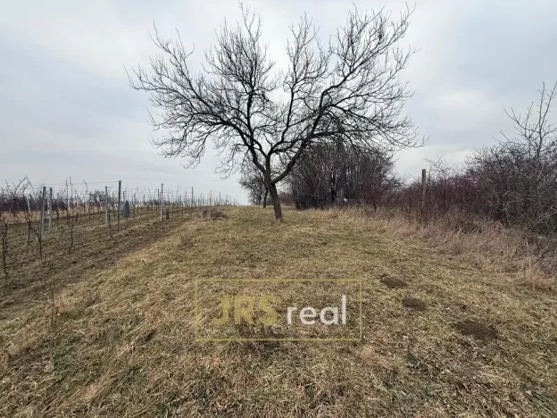 Prodej pozemku, Bzenec, 1231 m2