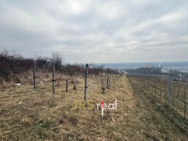 Prodej pozemku, Bzenec, 1231 m2