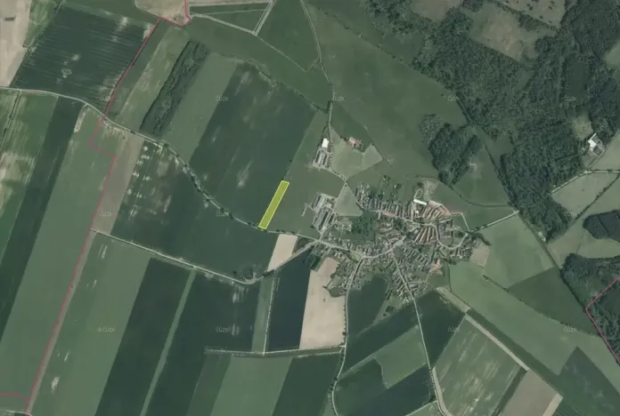 Prodej pole, Borkovice, 7295 m2