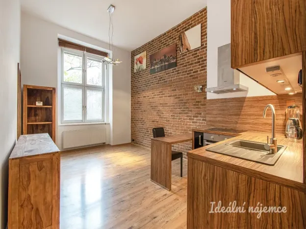 Pronájem bytu 2+kk, Praha - Žižkov, Přemyslovská, 46 m2