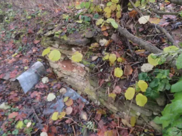 Dražba zahrady, Staré Město, 490 m2