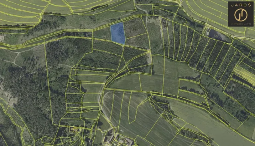 Prodej lesa, Tehov, 4064 m2