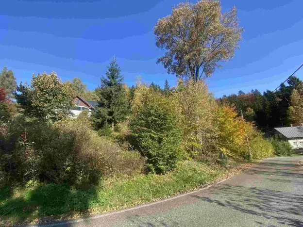 Prodej pozemku, Lučany nad Nisou - Jindřichov, 179 m2