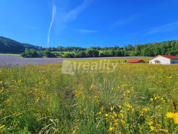 Prodej pozemku pro bydlení, Štěpánov nad Svratkou, 1299 m2