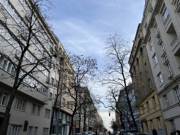 Prodej bytu 2+1, Praha, Vinohradská, 73 m2