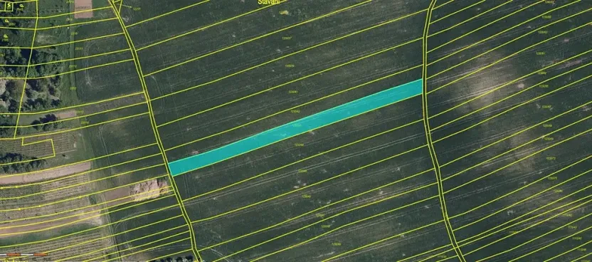 Prodej pole, Morkůvky, 1967 m2