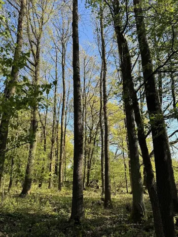 Prodej pozemku, Čížkov, 24151 m2