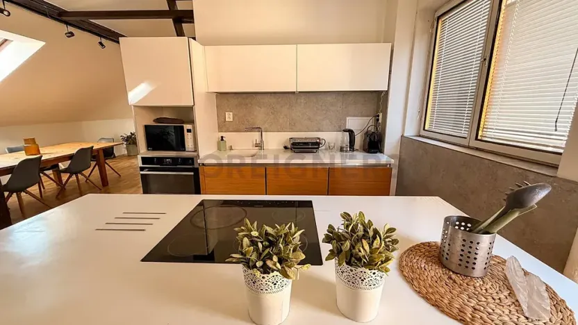 Pronájem bytu 3+kk, Praha - Smíchov, Staropramenná, 140 m2