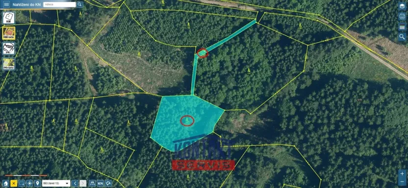 Prodej lesa, Kasejovice - Chloumek, 4325 m2