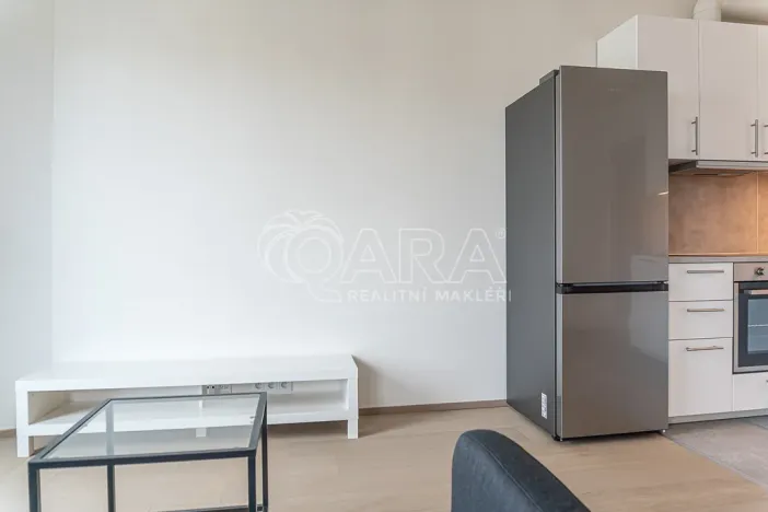 Pronájem bytu 2+kk, Praha - Žižkov, Olgy Havlové, 52 m2