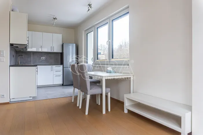 Pronájem bytu 2+kk, Praha - Žižkov, Rixdorfská, 51 m2