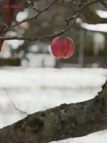 Prodej pozemku pro bydlení, Strání, 669 m2