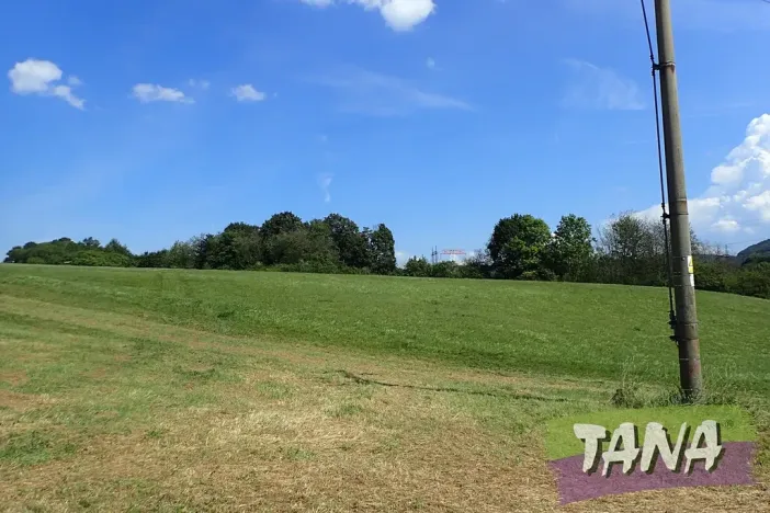 Prodej louky, Hodkovice nad Mohelkou, 49051 m2