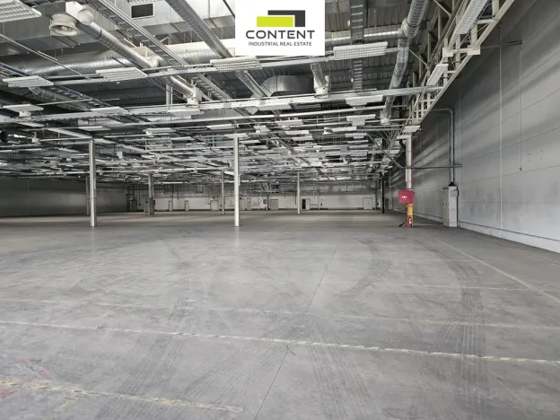 Pronájem skladu, Plzeň - Skvrňany, U Nové Hospody, 3820 m2