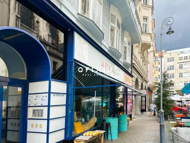 Pronájem bytu 1+1, Brno, Jakubské náměstí, 17 m2