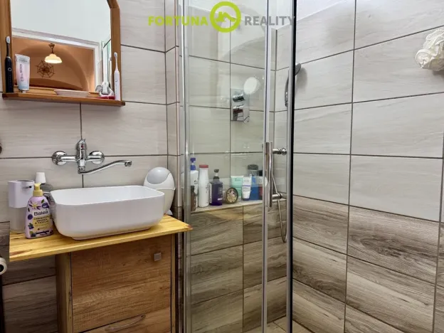 Prodej rodinného domu, Budišov nad Budišovkou, Horská, 273 m2