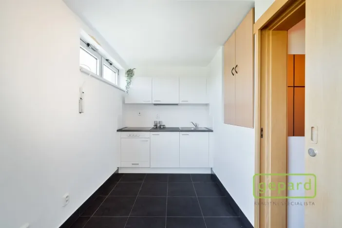 Pronájem bytu 1+kk, Praha, Hartigova, 28 m2