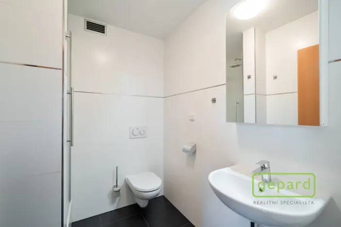 Pronájem bytu 1+kk, Praha, Hartigova, 28 m2