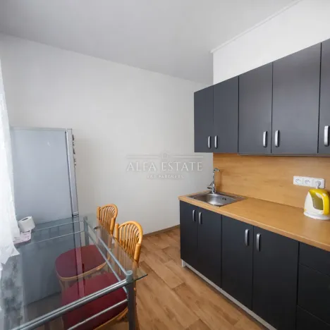 Pronájem bytu 1+1, Ostrov, Májová, 36 m2