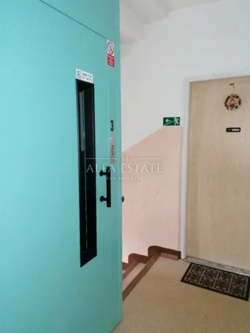 Pronájem bytu 1+1, Ostrov, Májová, 36 m2