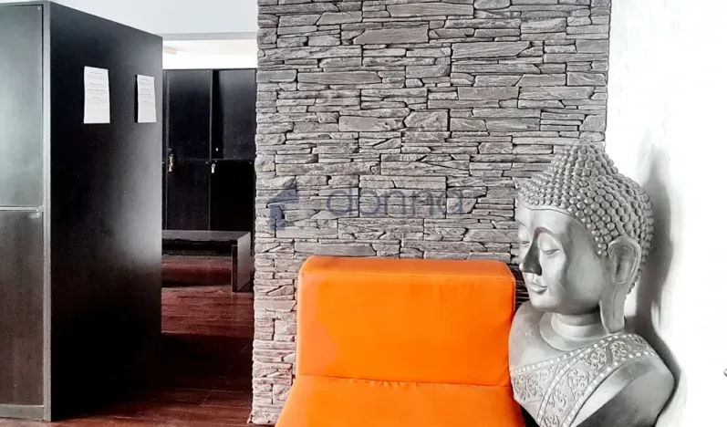 Pronájem obchodního prostoru, Praha, Chrudimská, 360 m2