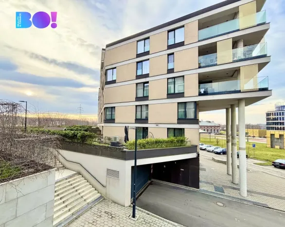 Pronájem kanceláře, Ostrava, F. X. Riepla, 65 m2