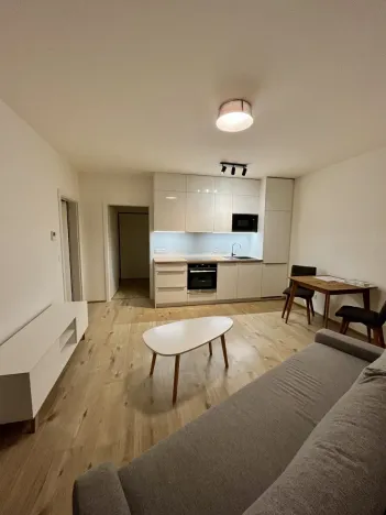 Pronájem bytu 2+kk, Olomouc, Eduarda Hamburgera, 45 m2