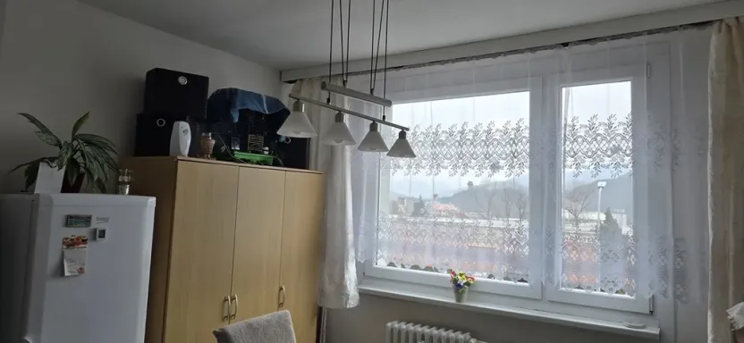 Pronájem bytu 1+1, Ústí nad Labem - Neštěmice, Seifertova, 36 m2