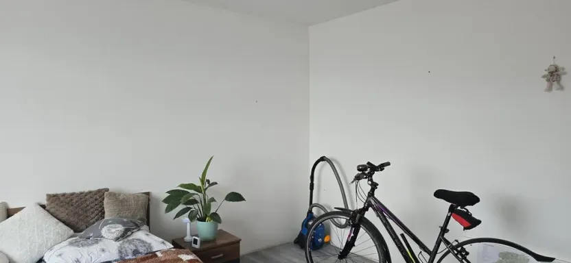 Pronájem bytu 1+1, Ústí nad Labem - Neštěmice, Seifertova, 36 m2