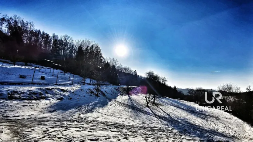 Prodej zahrady, Boskovice, Mánesova, 756 m2