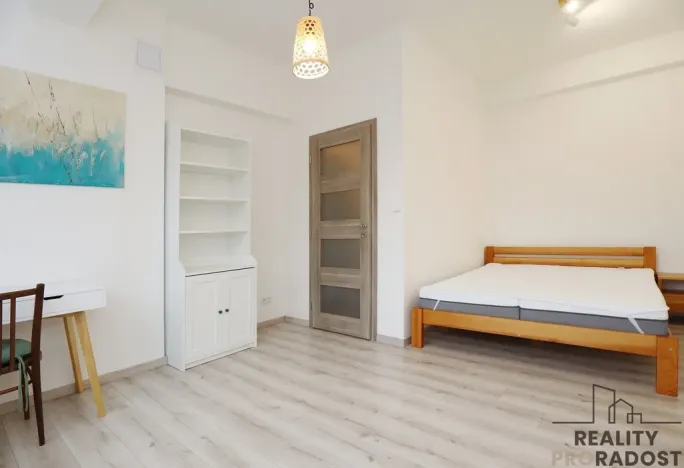 Pronájem bytu 2+kk, Praha - Žižkov, Viklefova, 47 m2