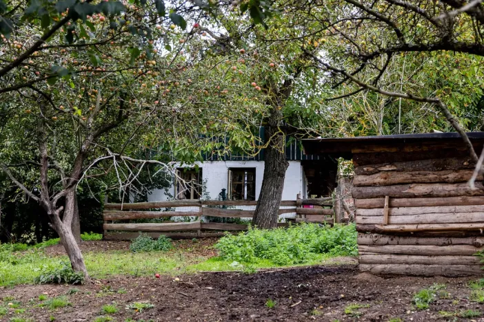 Prodej rodinného domu, Litíč, 60 m2