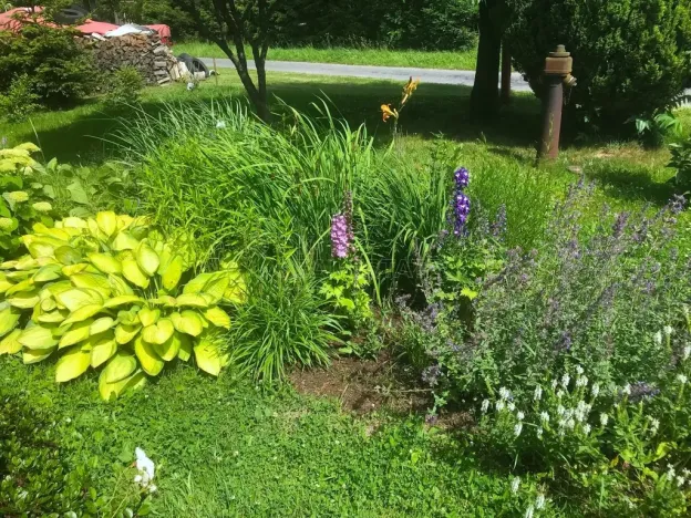 Prodej rodinného domu, Dětřichov nad Bystřicí, 140 m2