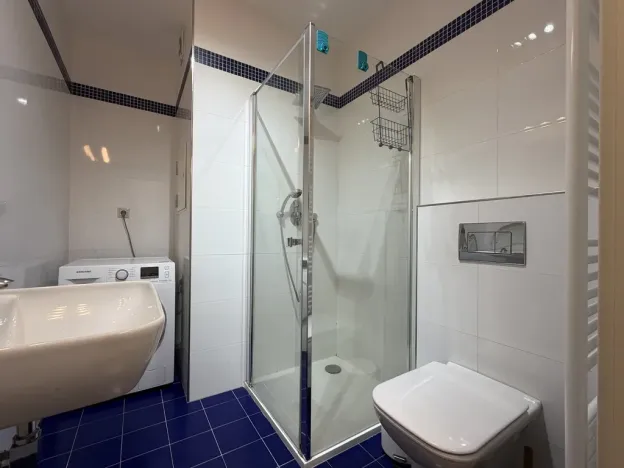 Pronájem bytu 2+1, Praha - Nové Město, Vyšehradská, 55 m2