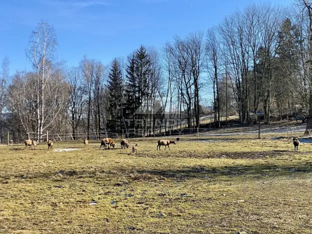 Prodej zemědělského objektu, Vimperk, Hájná Hora, 58189 m2