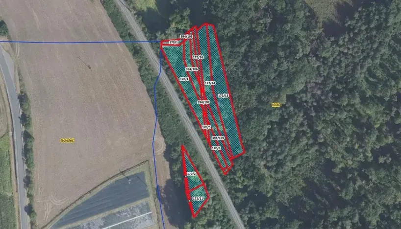 Prodej lesa, Poděbrady, 5736 m2